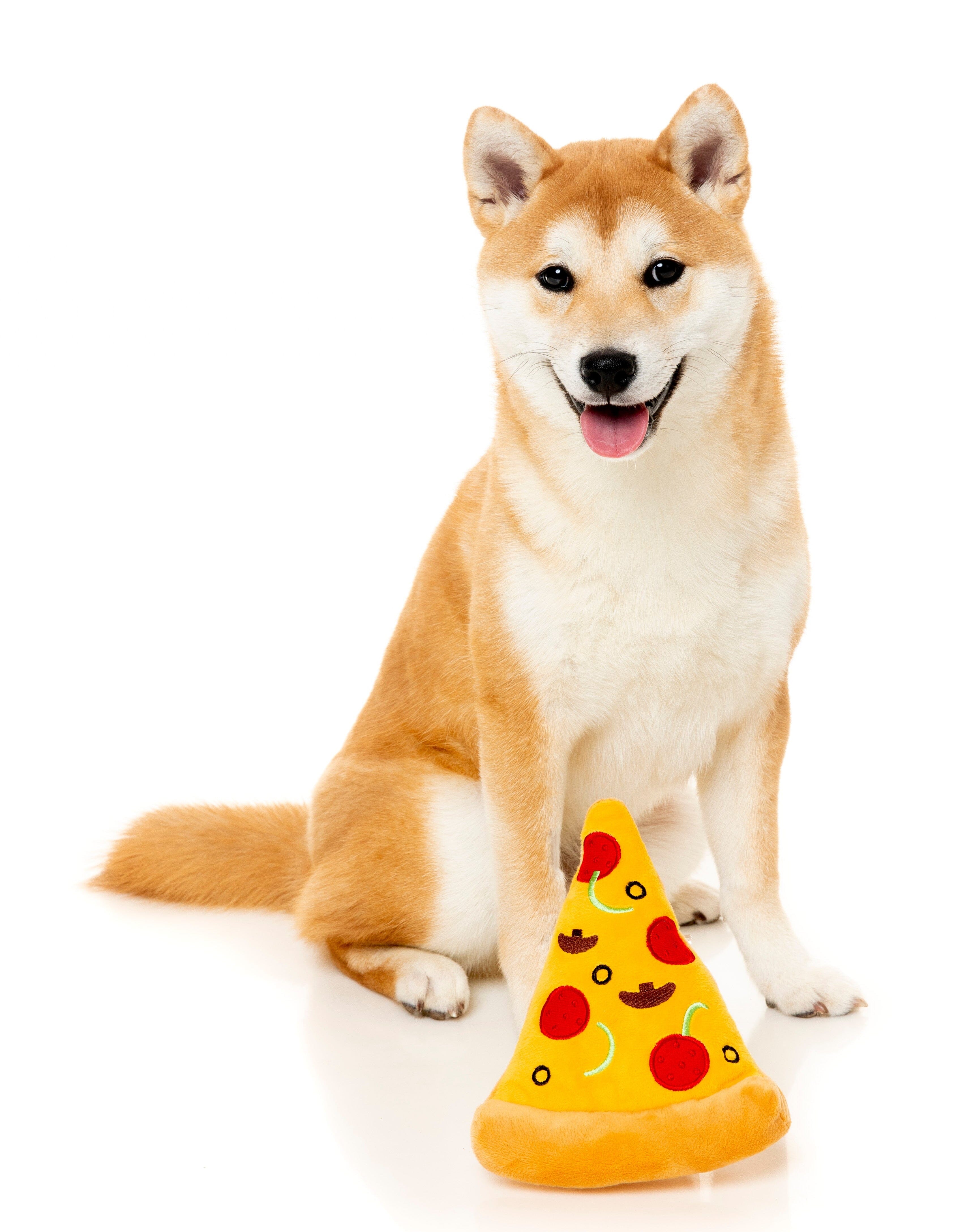 Hundespielzeug Fuzzyard Pizza Fuzzyard 